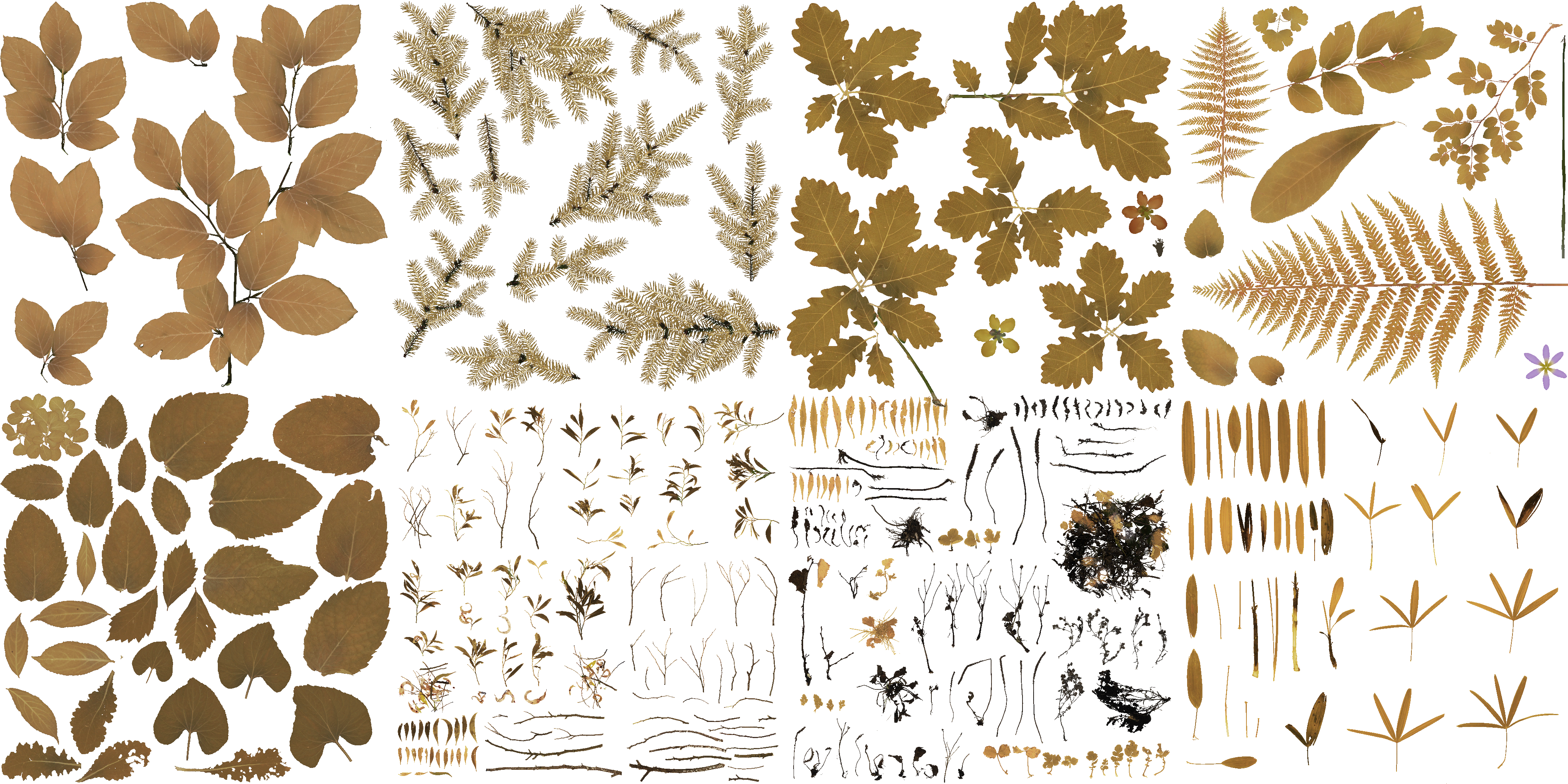 AET210_562_a.png