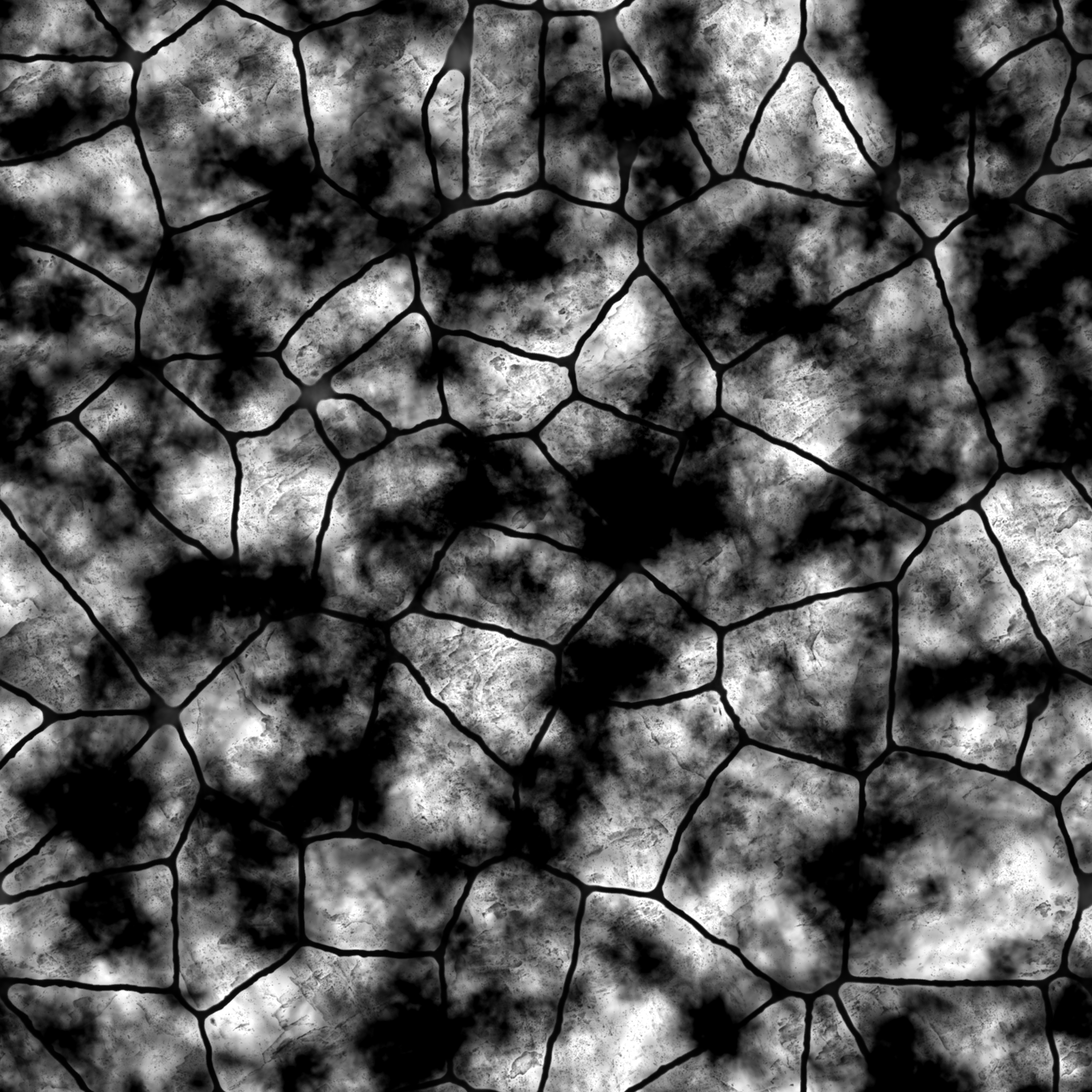 AET210_567_1m.png