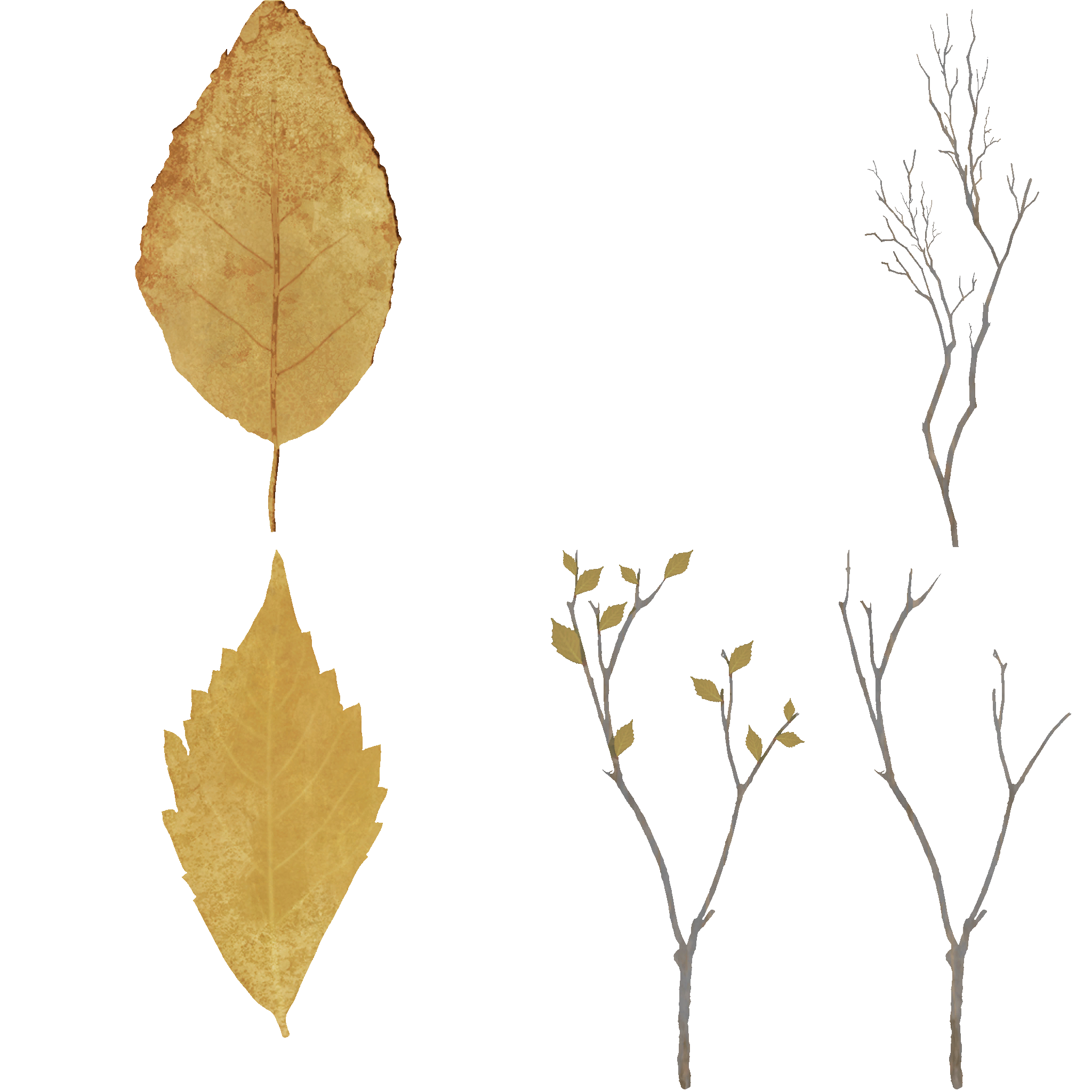 AET210_569_a.png