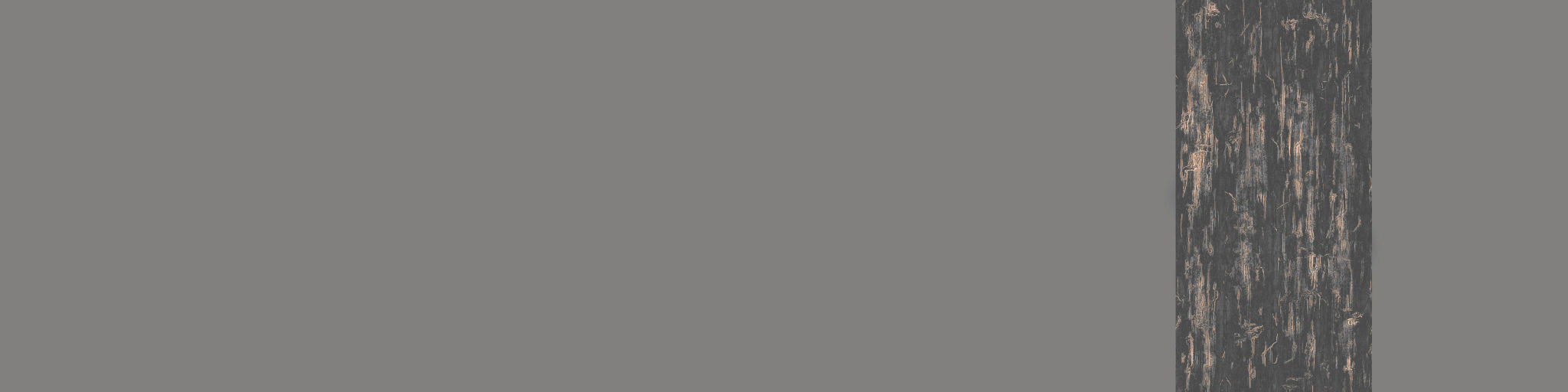 AET210_851_a.png