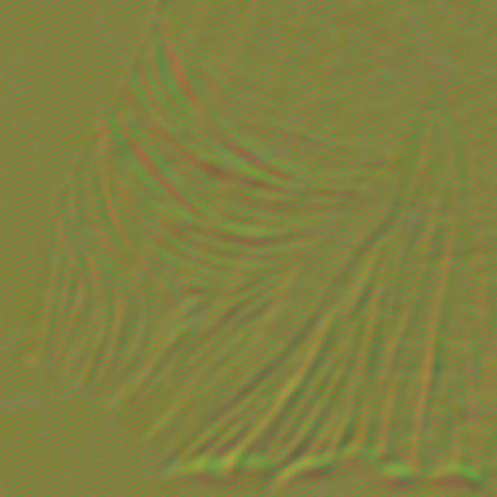 AET210_954_n.png