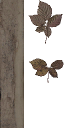 AET220_154_a.png