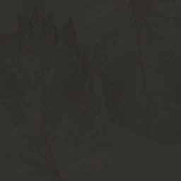 AET220_186_em.png