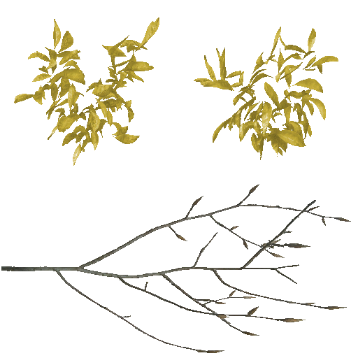 AET220_213_a.png