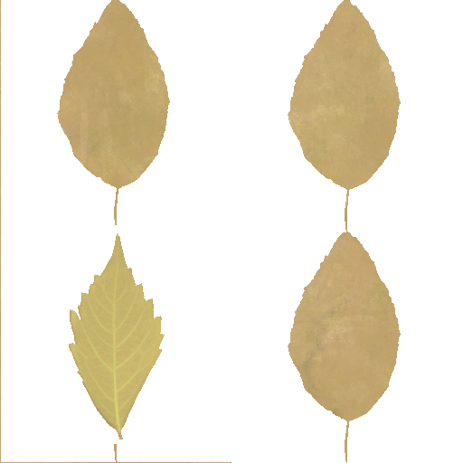 AET220_246_a.png