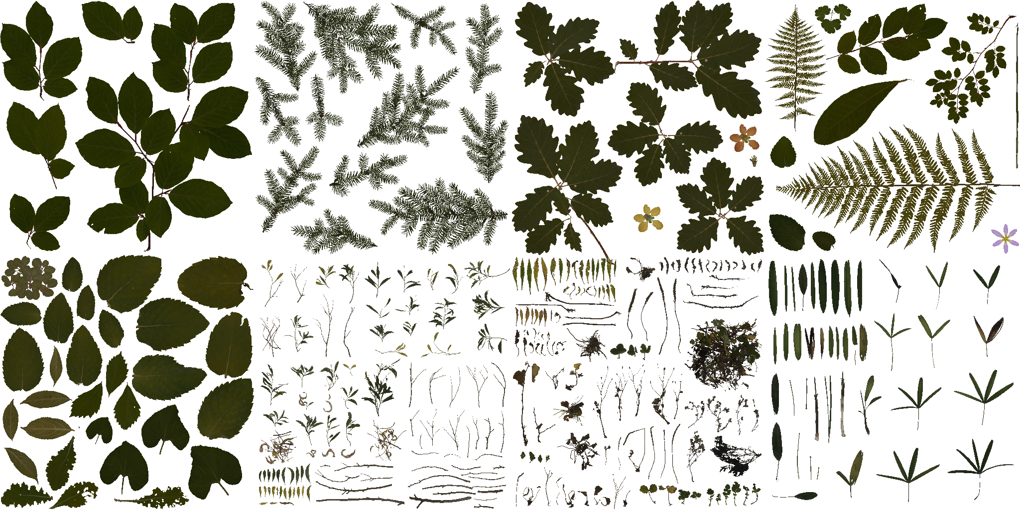AET230_367_a.png