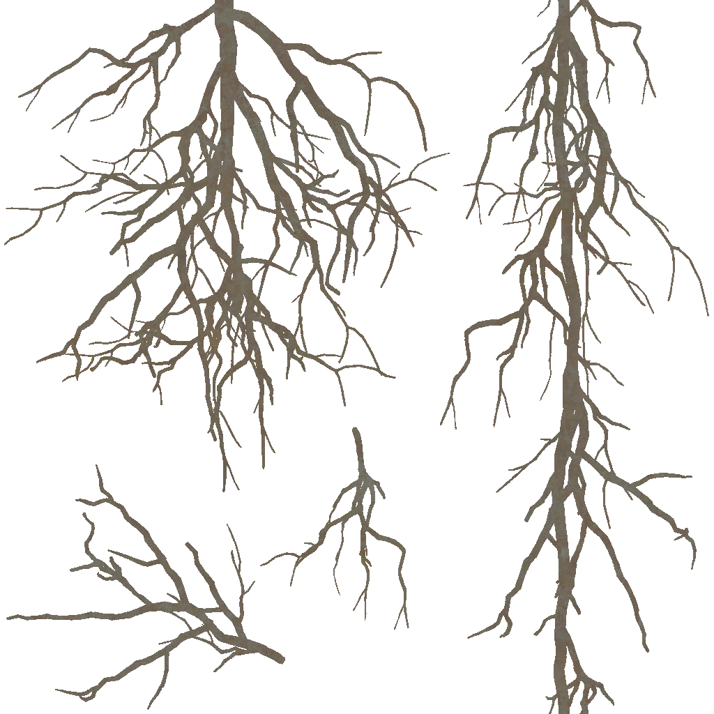 AET230_375_a.png