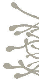 AET230_600_a.png