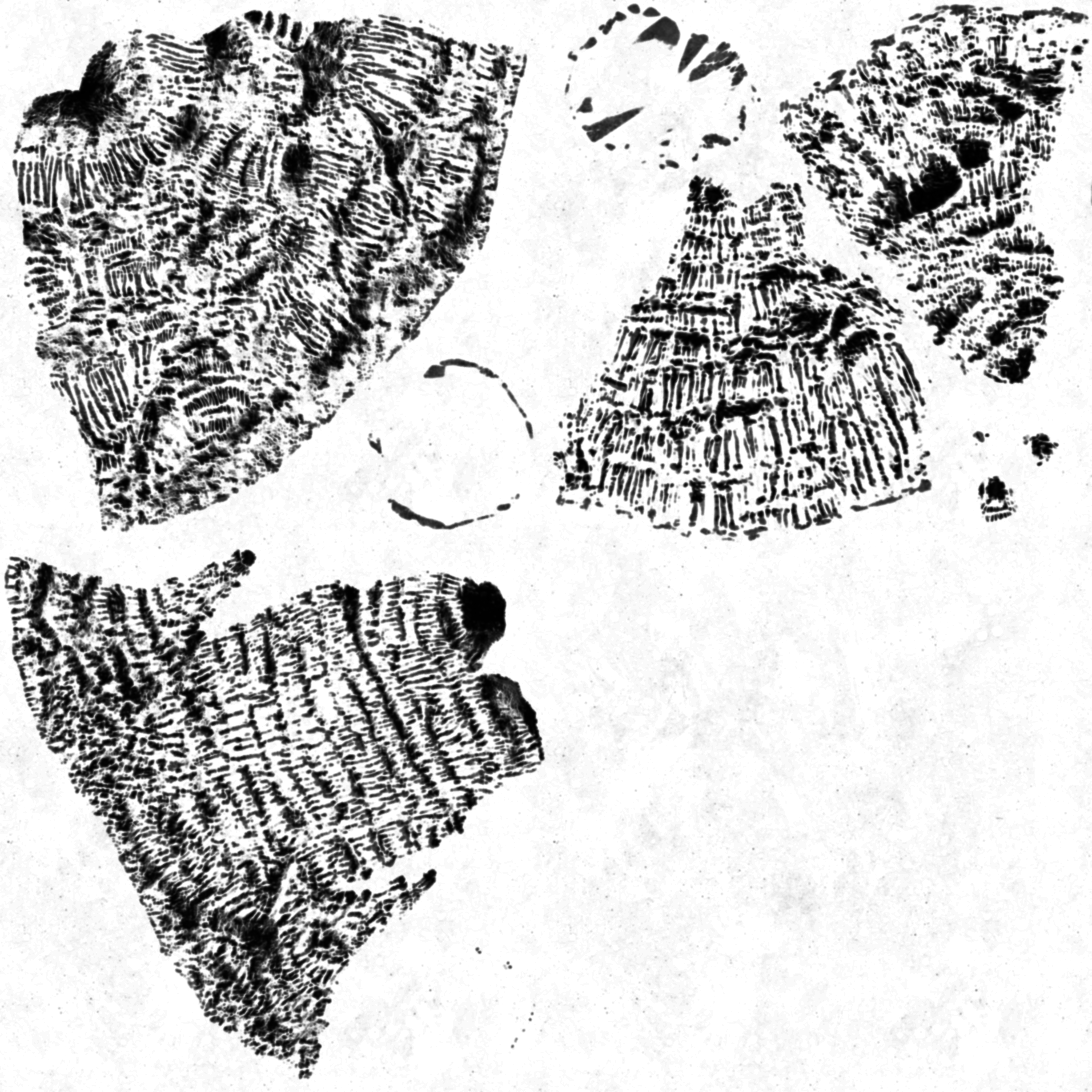 AET230_609_1m.png