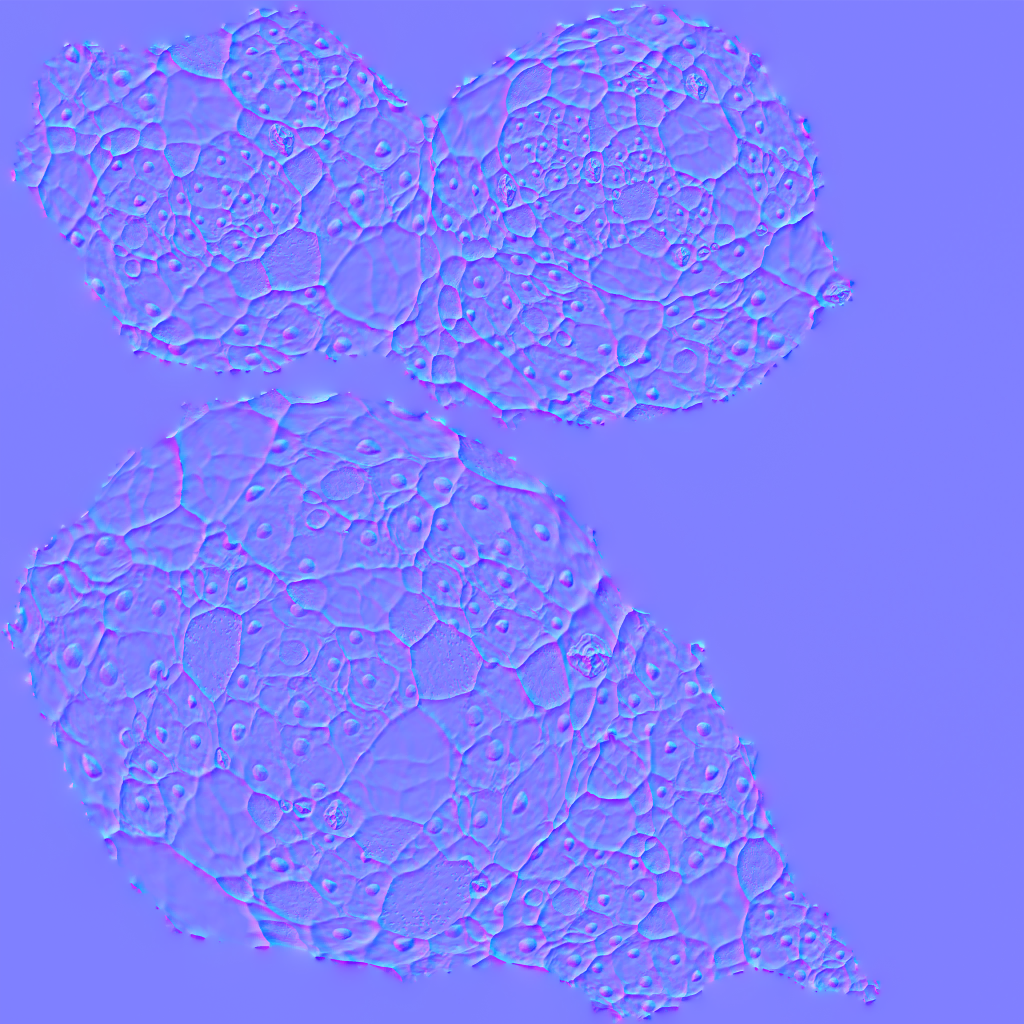 AET230_735_n.png