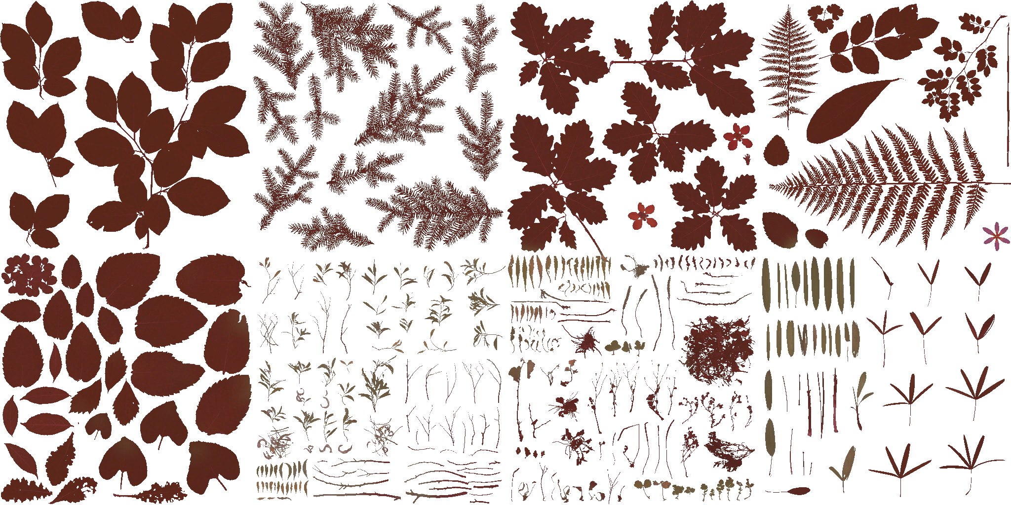 AET230_742_a.png