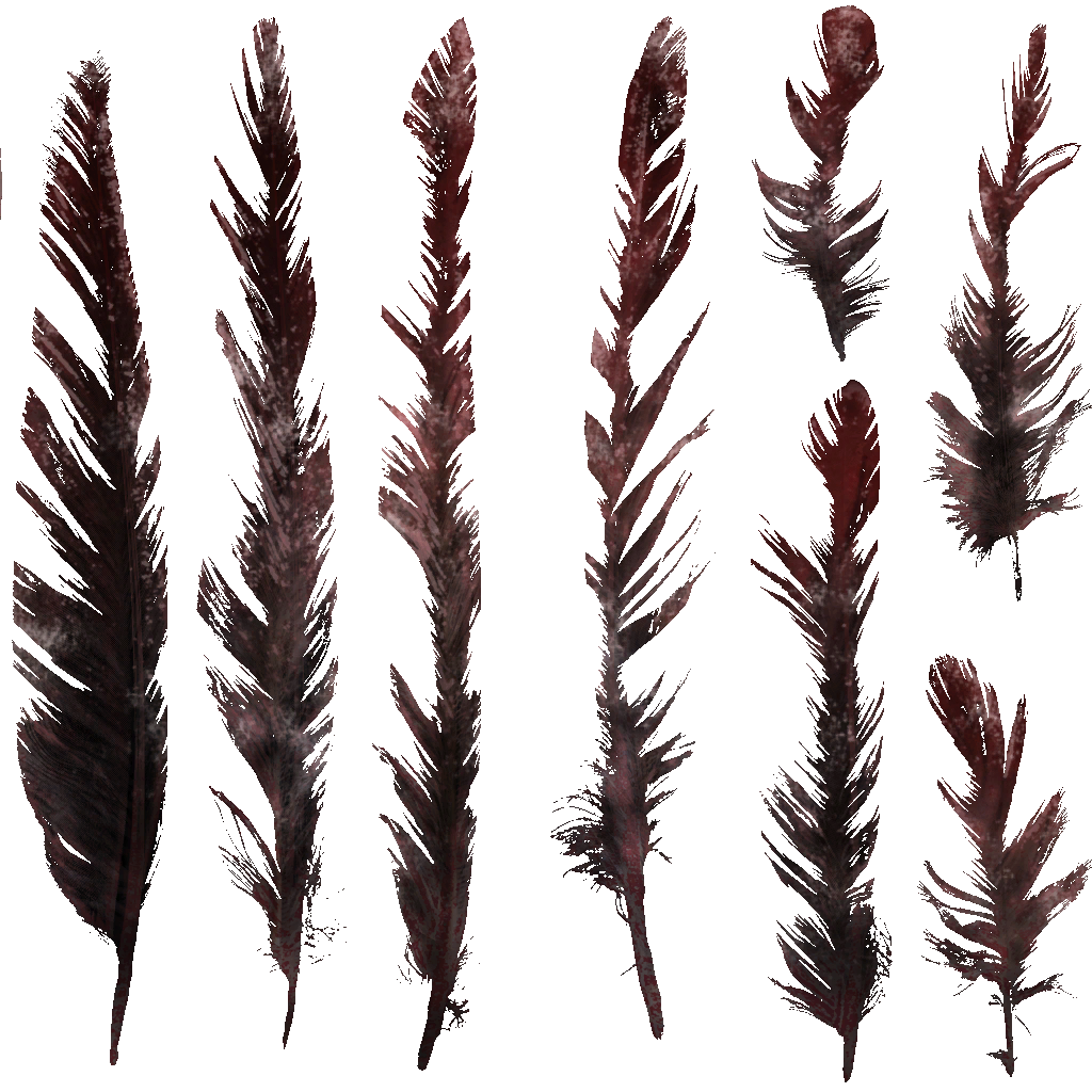 AET230_753_a.png
