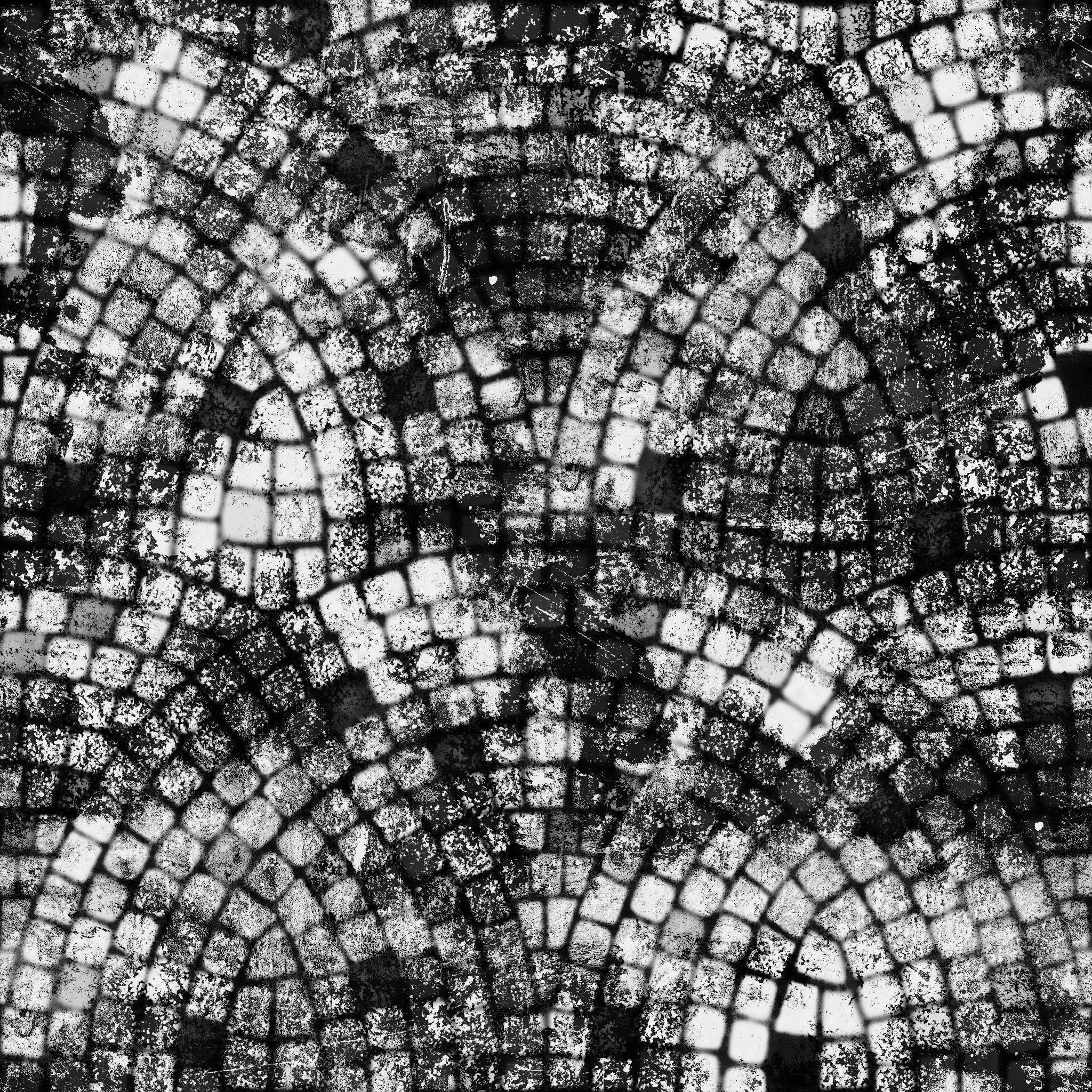 AET240_043_1m.png
