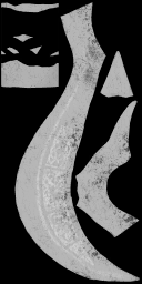 AET240_211_m.png