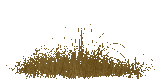 AET240_800_a.png