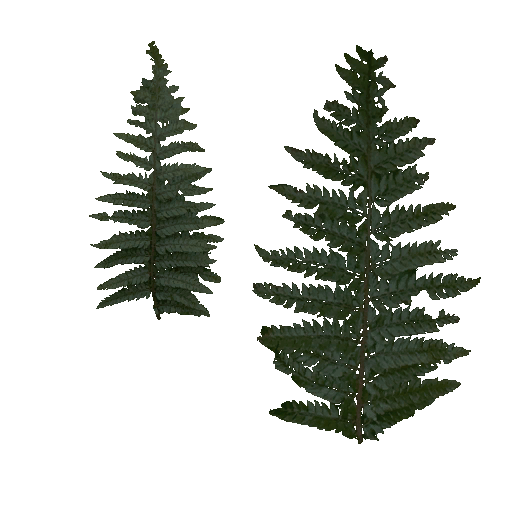 AET250_209_a.png