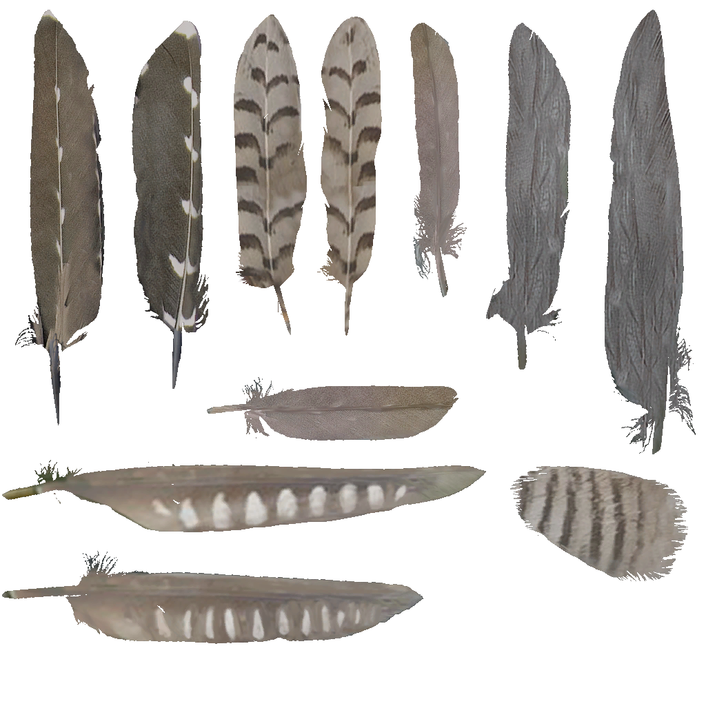 AET250_461_a.png