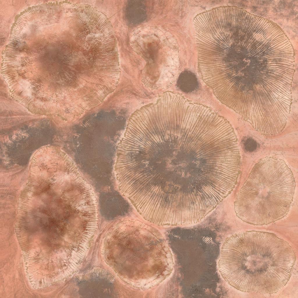 AET260_011_a.png
