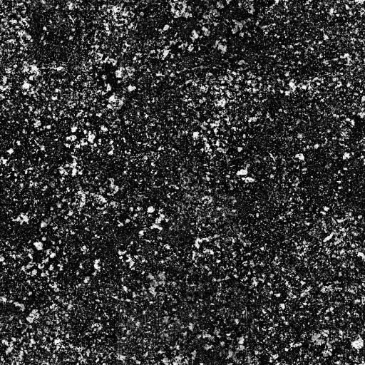 AET260_013_1m.png
