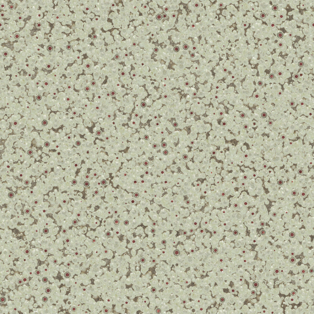 AET260_022_a.png