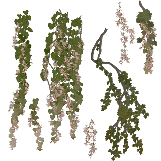 AET260_045_a.png