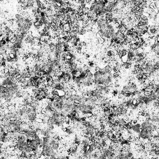 AET260_072_1m.png