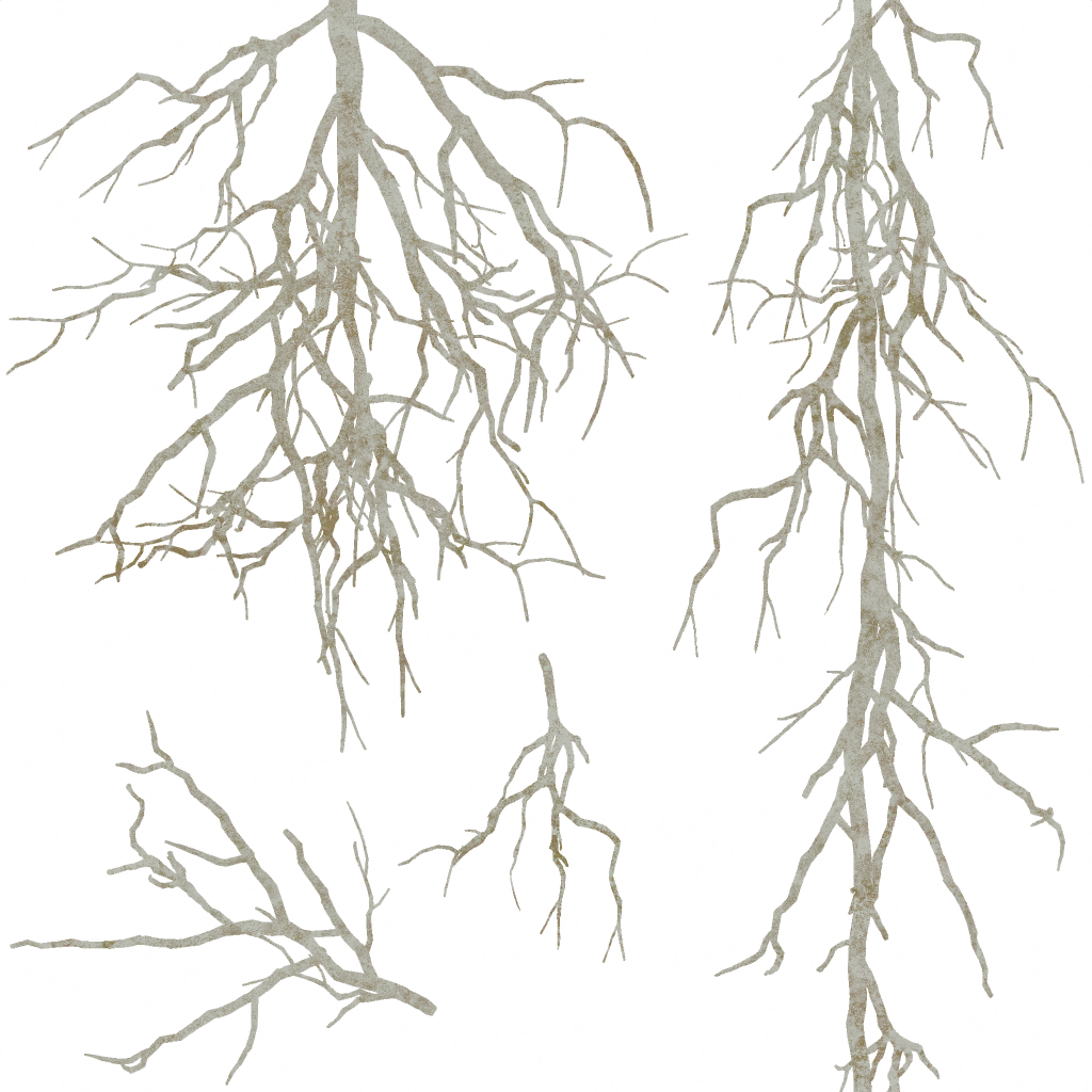 AET260_132_a.png