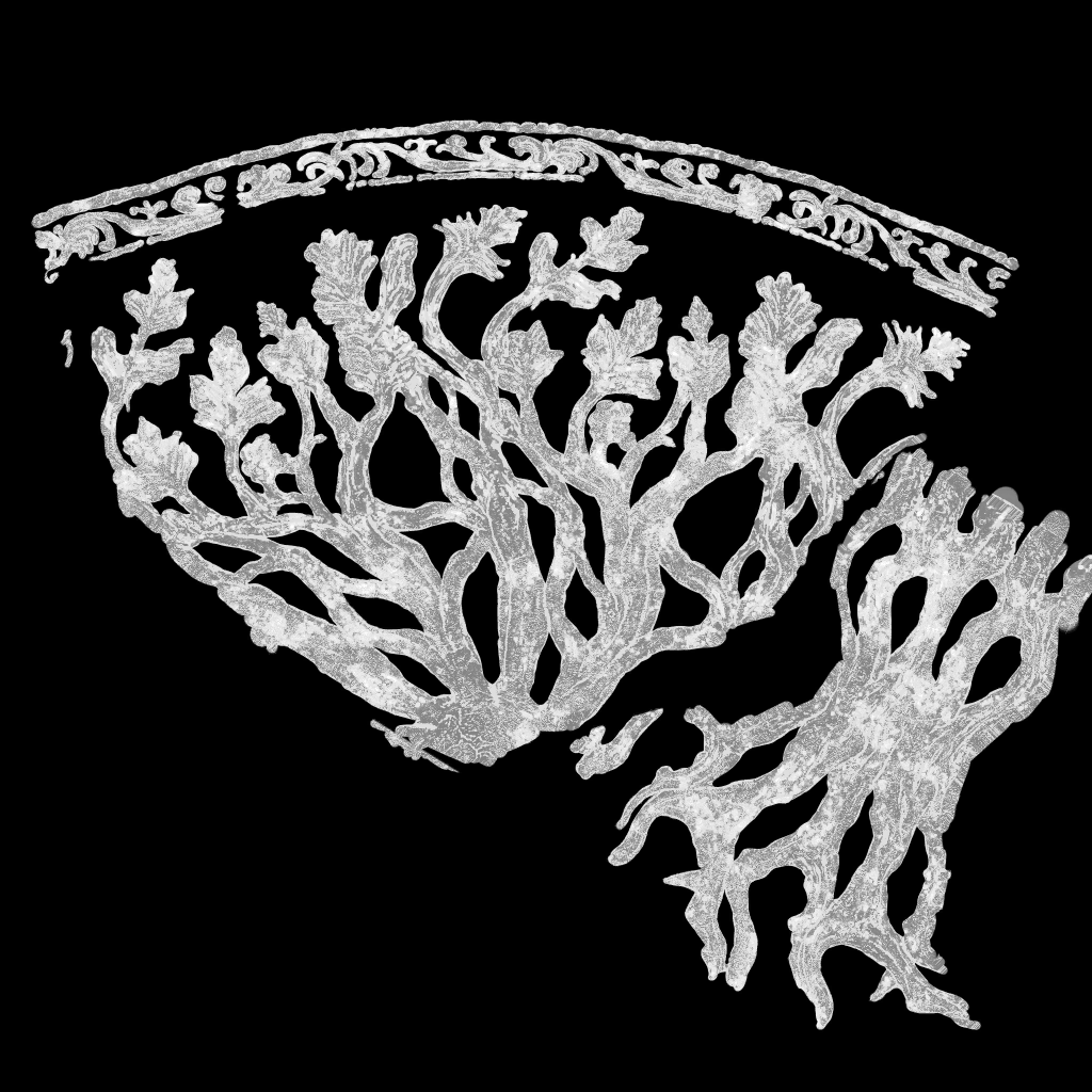 AET260_220_m.png