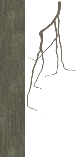 AET260_339_a.png