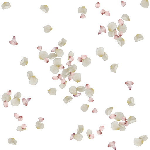 AET260_343_a.png
