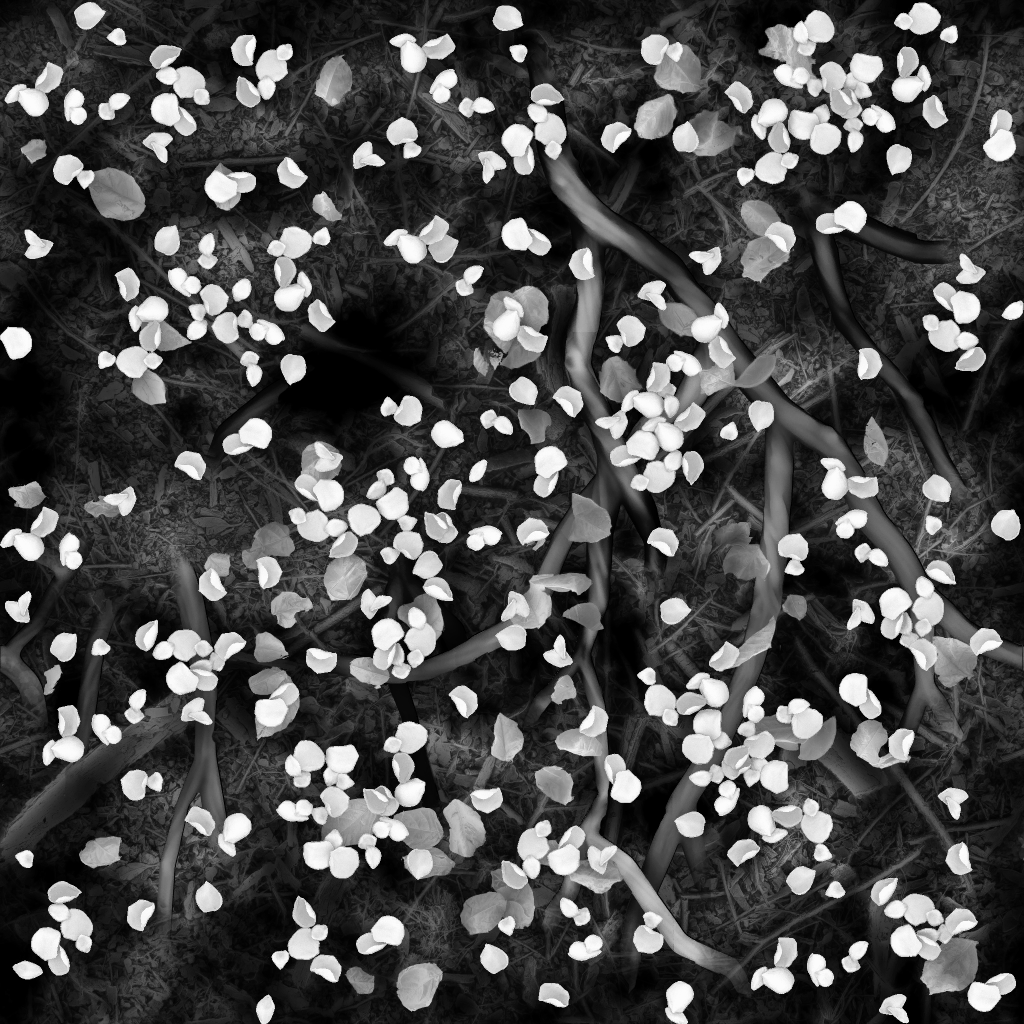 AET260_351_1m.png