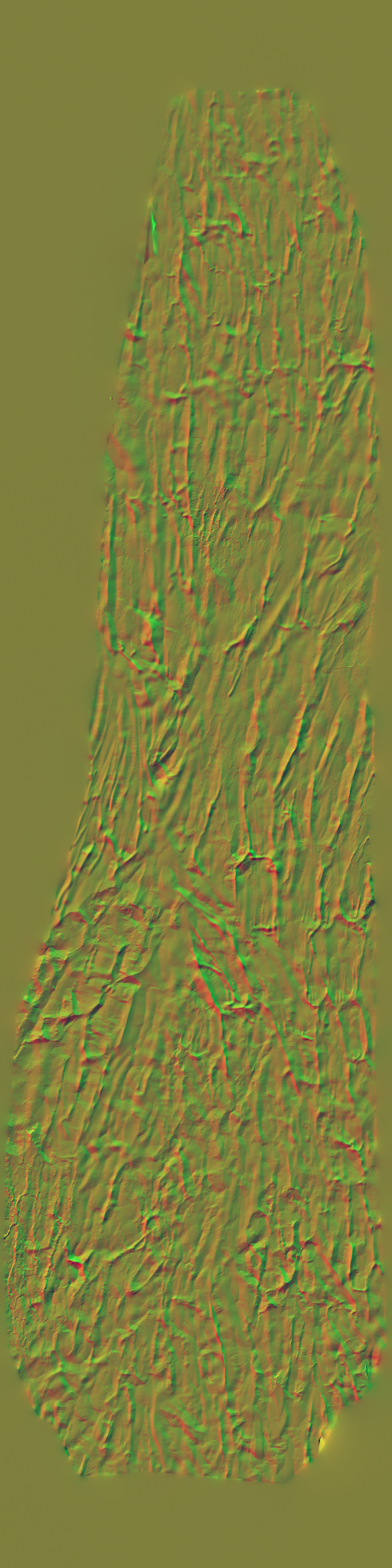 AET260_602_n.png