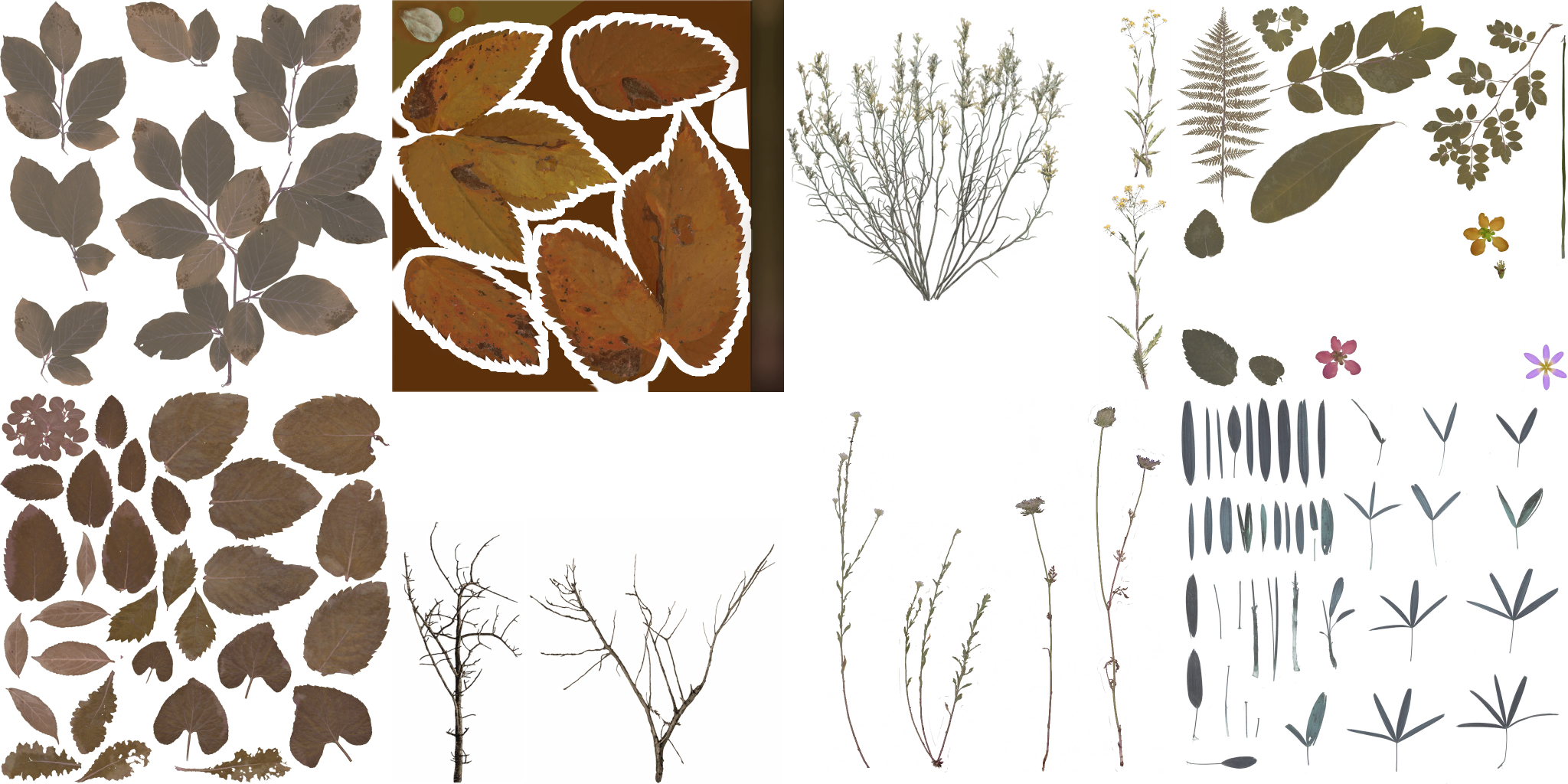 AET260_620_a.png