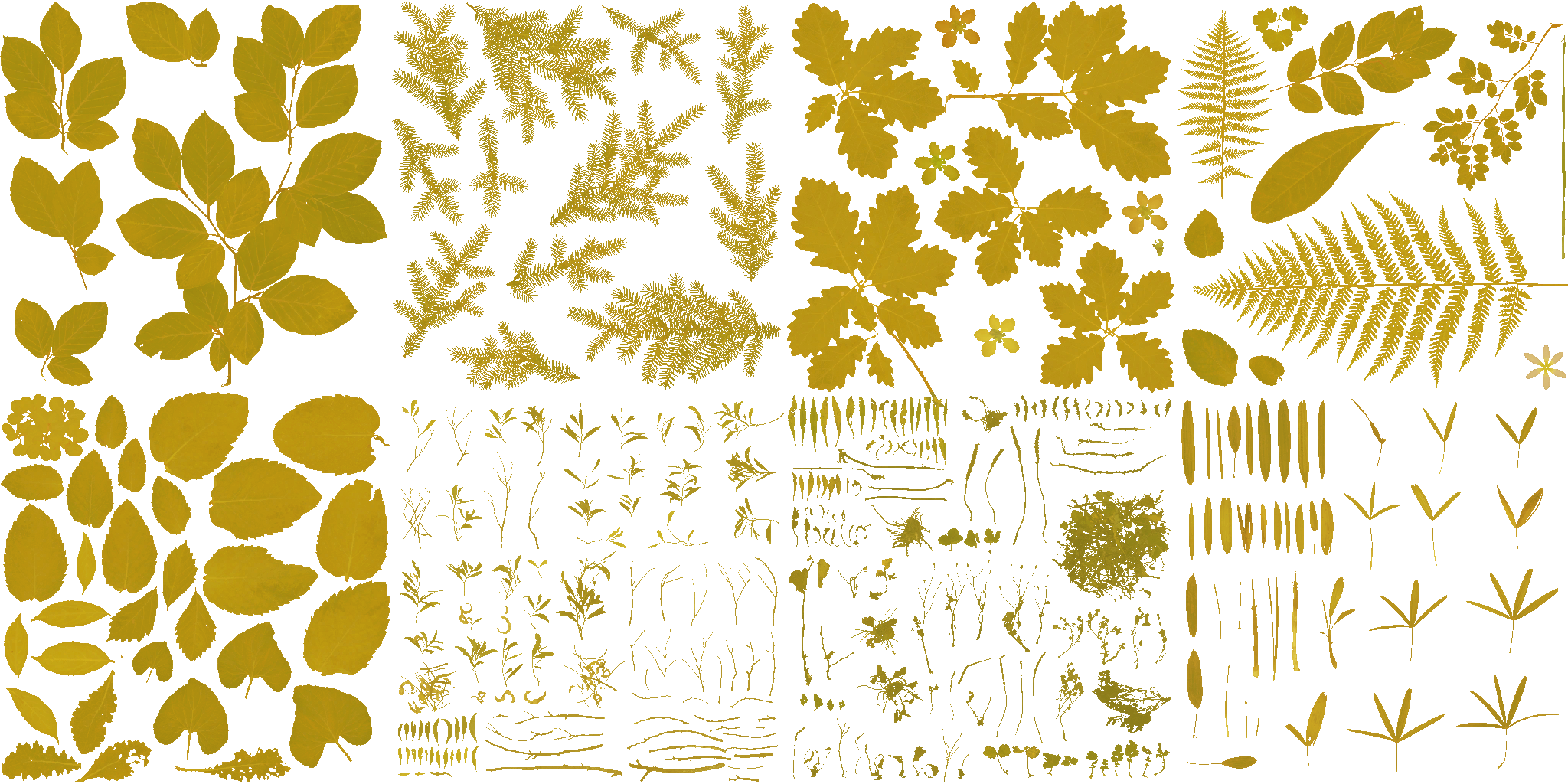 AET400_245_a.png