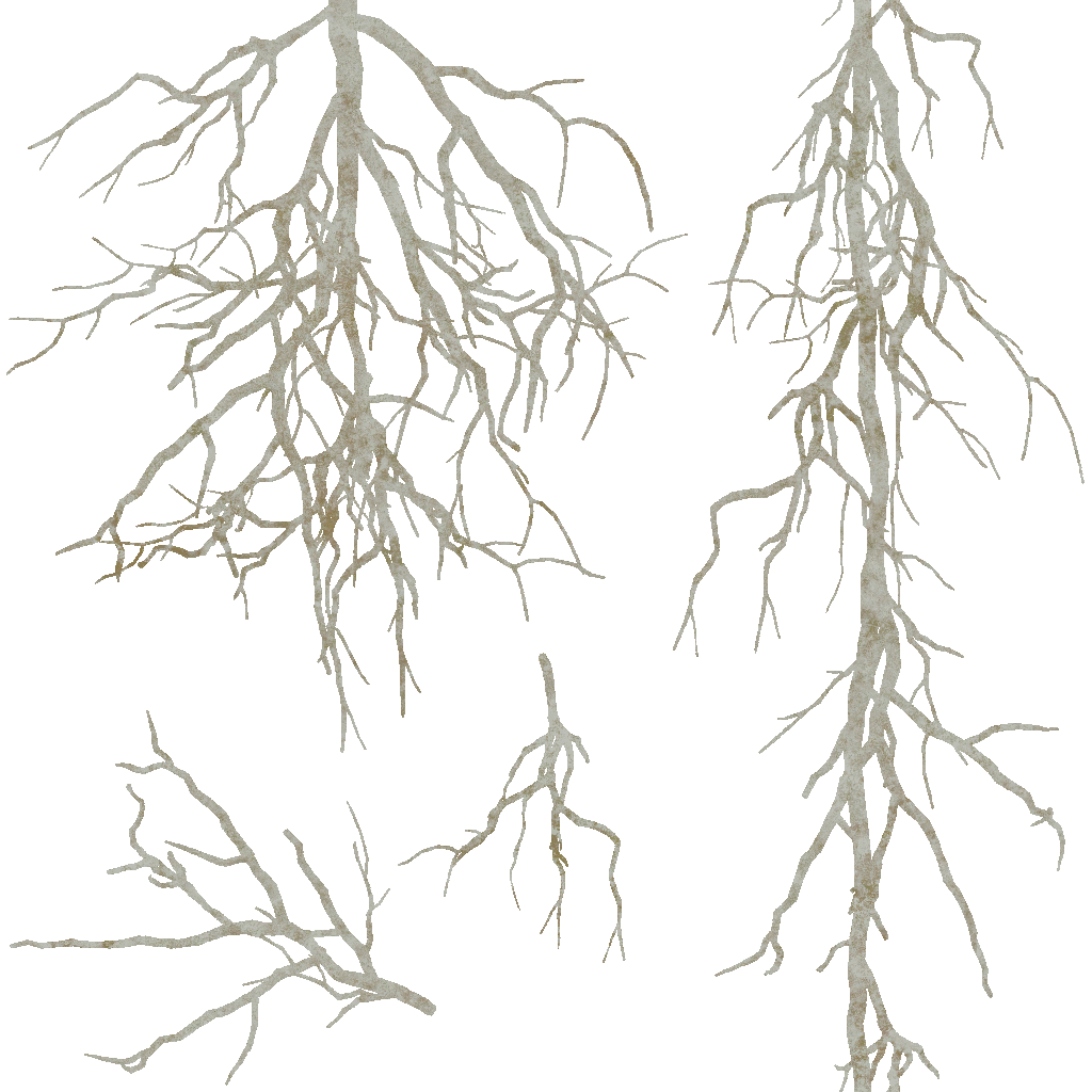 AET401_132_a.png