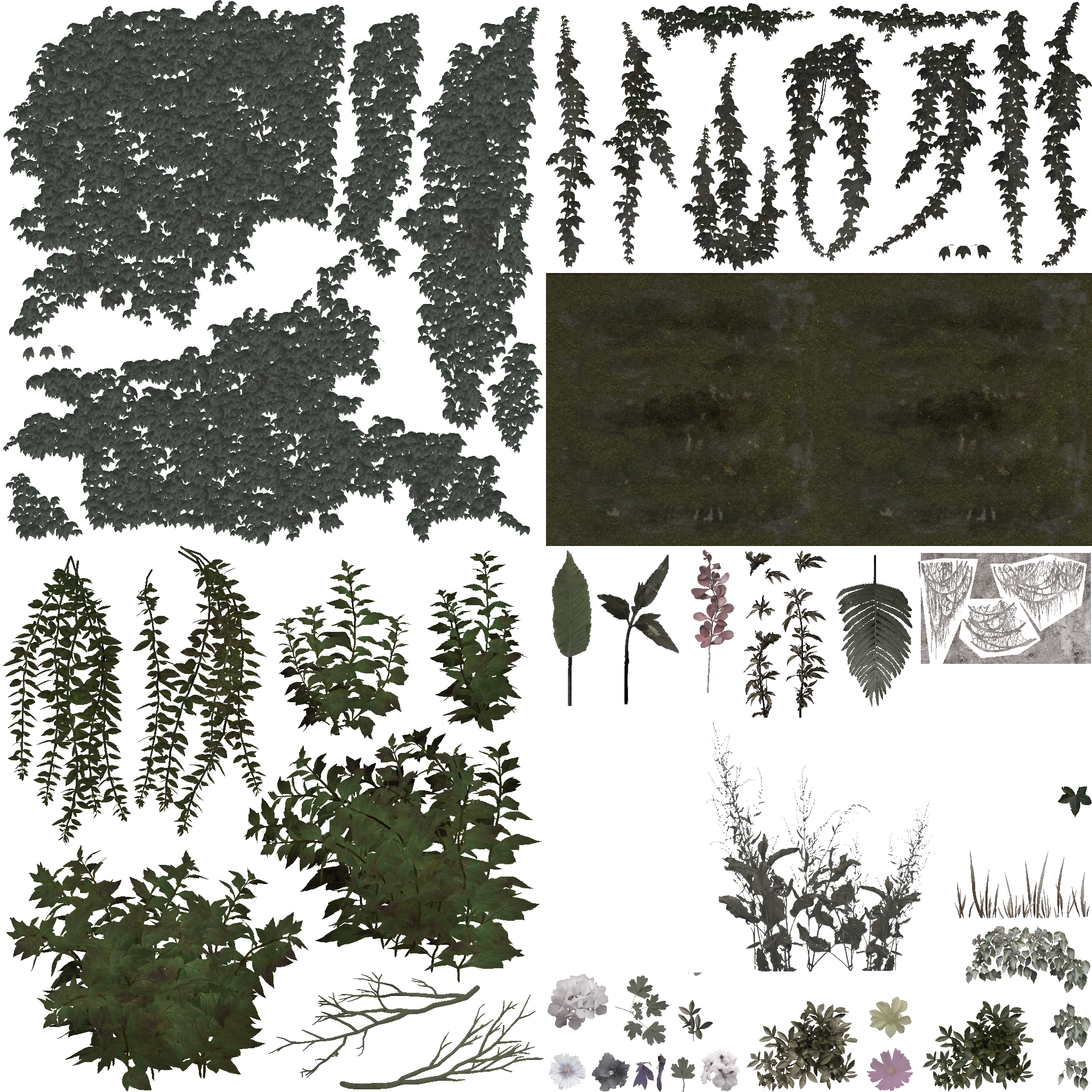 AET402_203_a.png