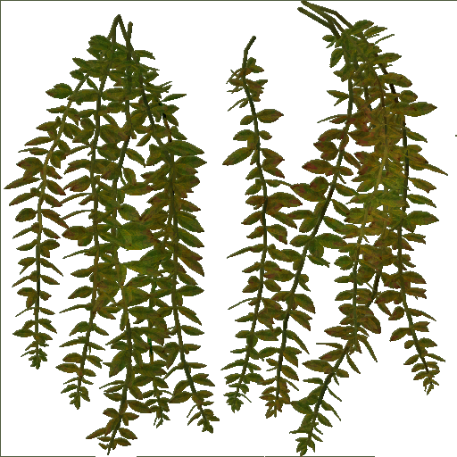 AET406_025_a.png
