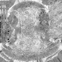 AET406_050_m.png
