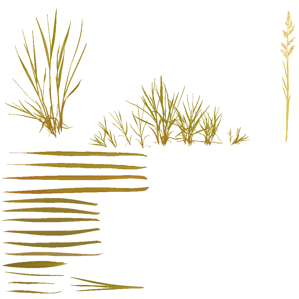 AET406_077_a.png