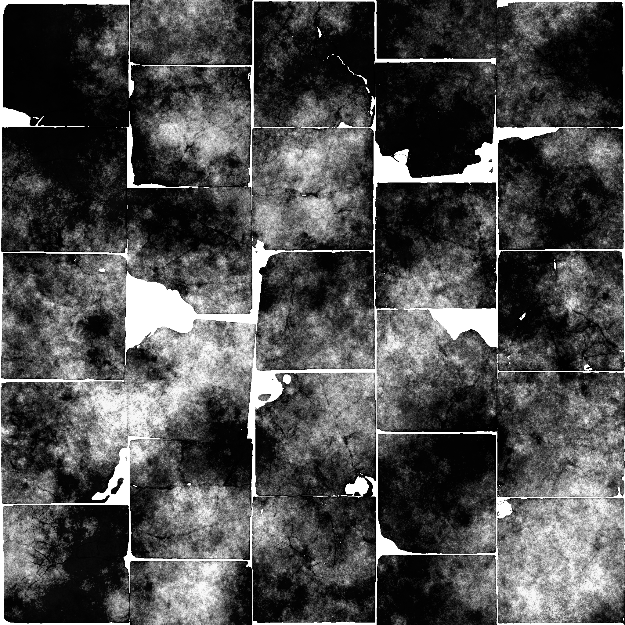 AET410_044_1m.png