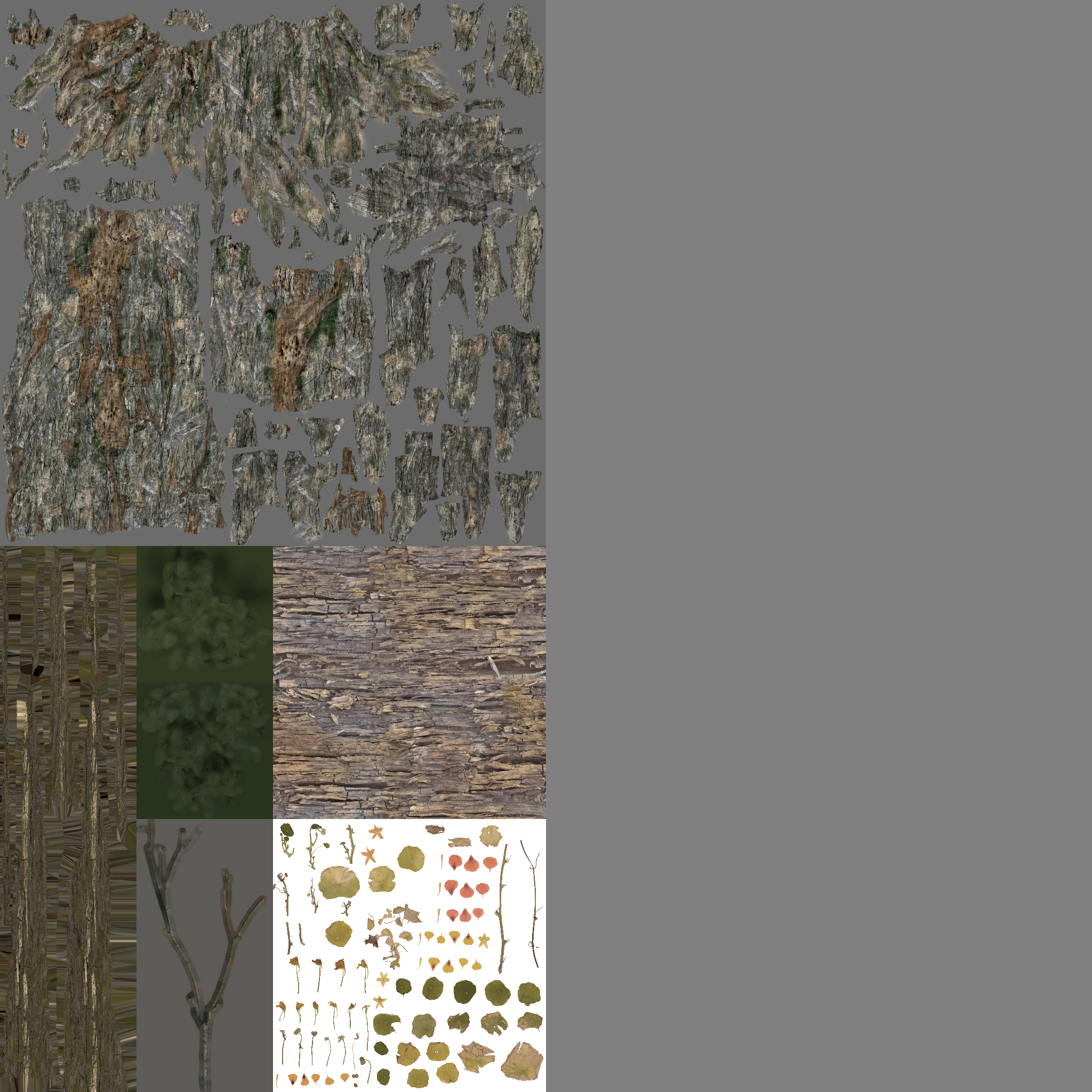 AET410_128_a.png