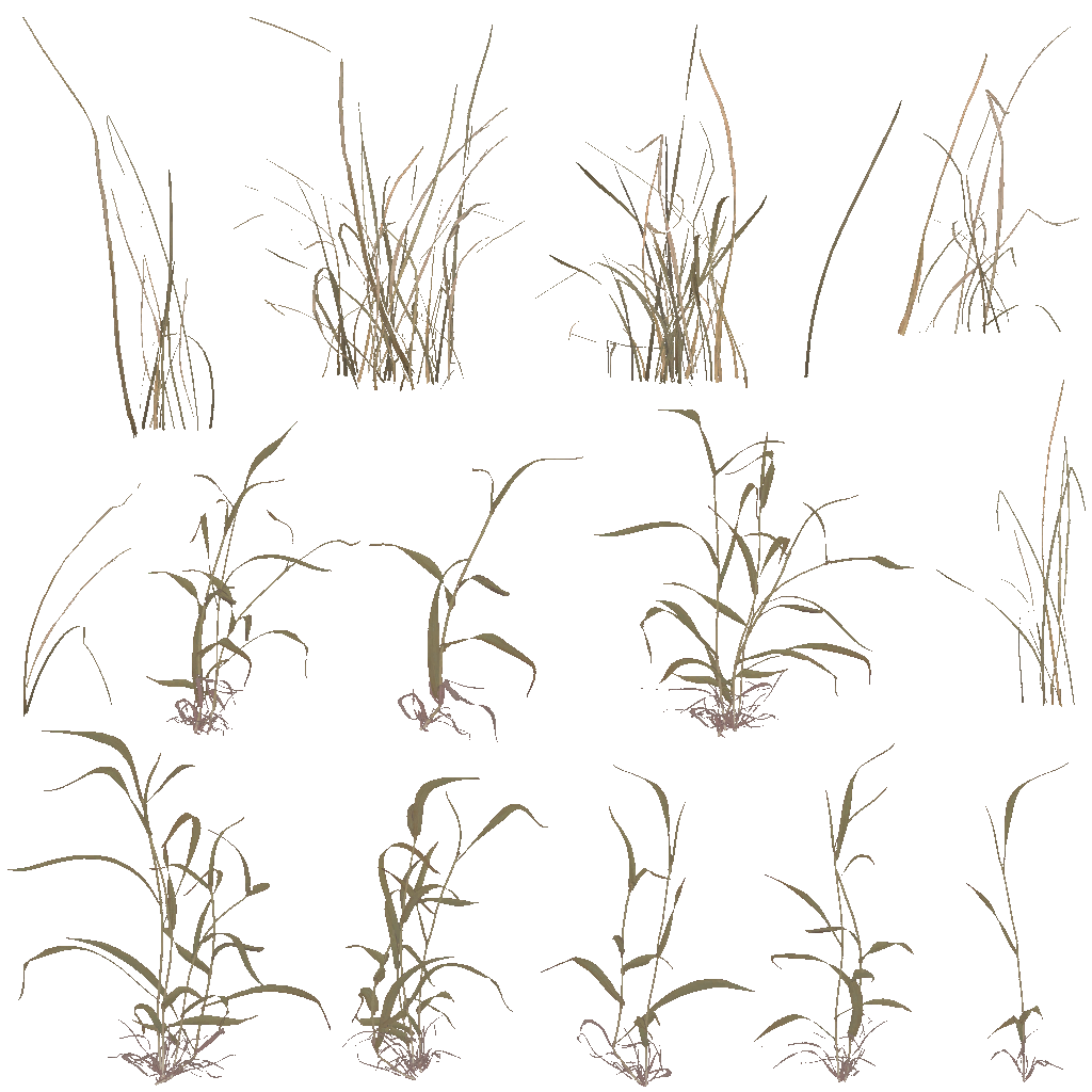 AET410_150_a.png