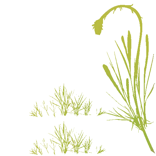AET410_161_a.png