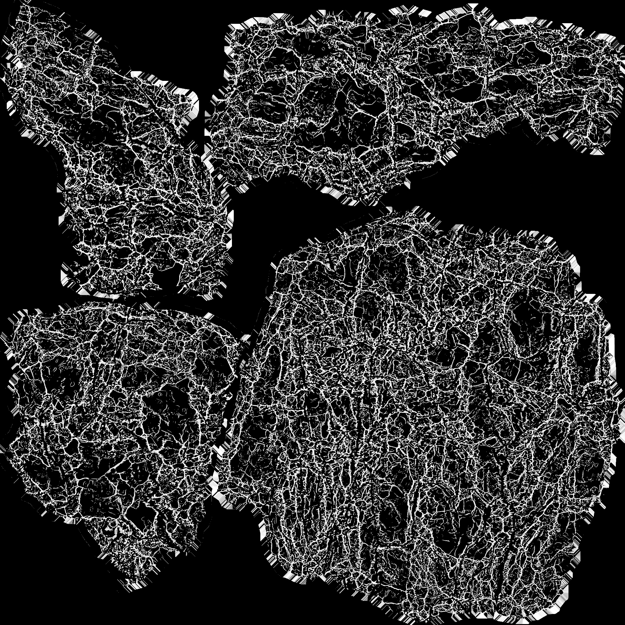 AET410_238_1m.png