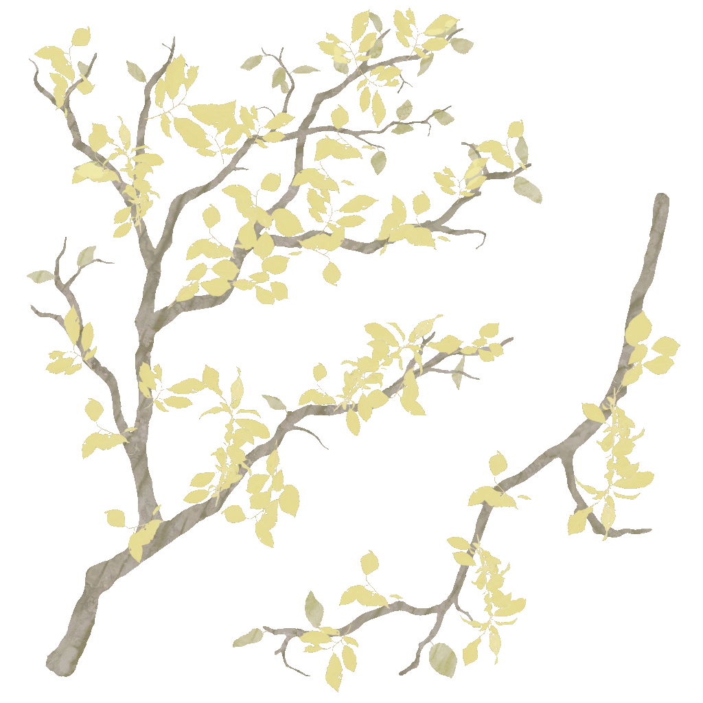 AET410_544_a.png