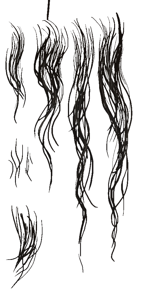 AET420_326_a.png