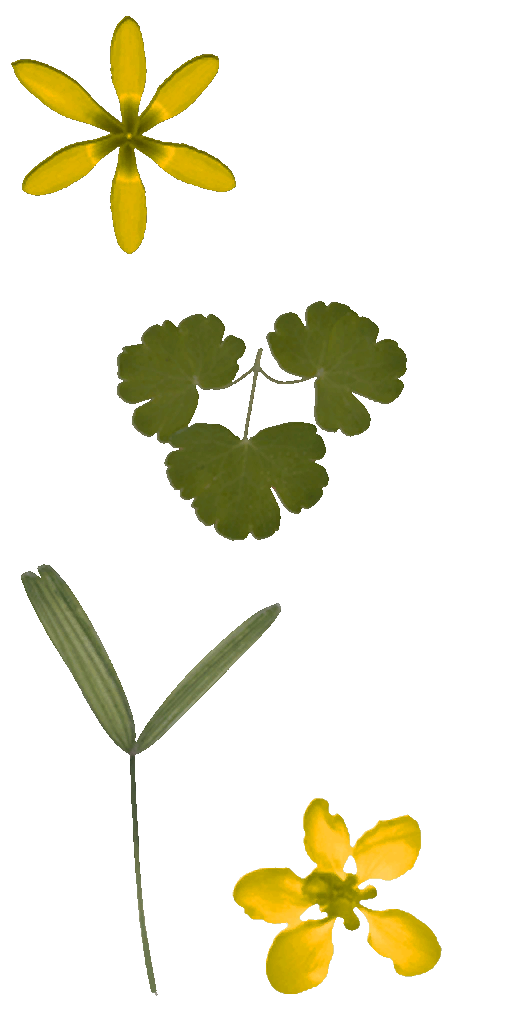 AET420_606_a.png