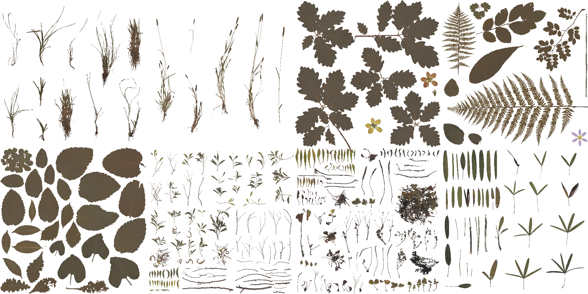 AET420_607_a.png
