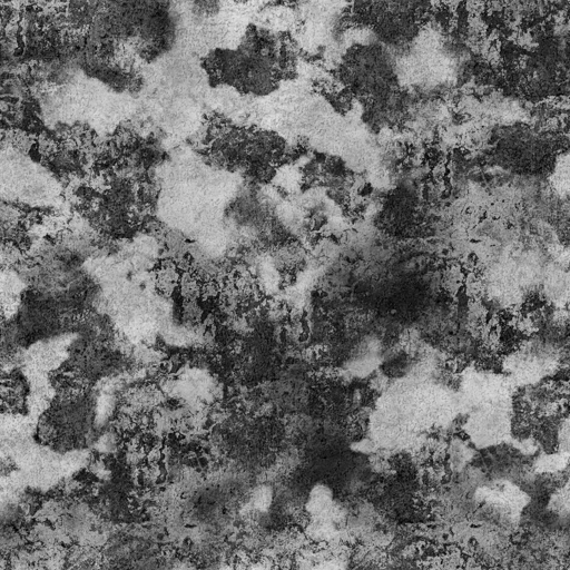 AET440_436_1m.png