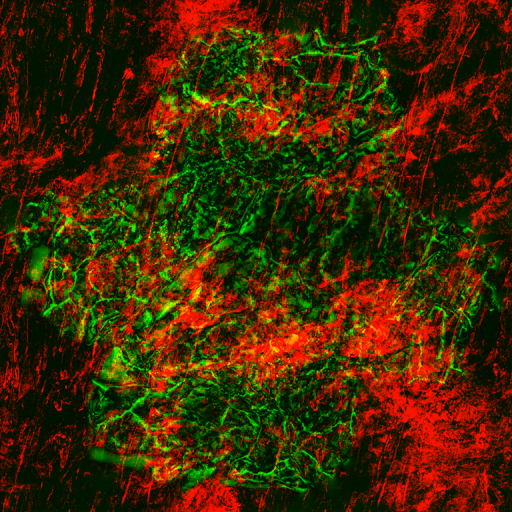 AET441_024_3m.png